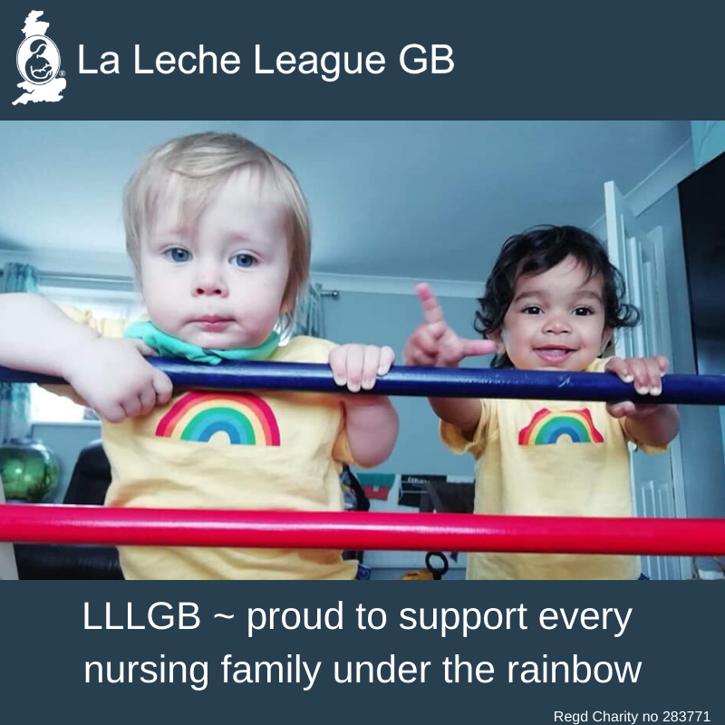 Photo of children with caption &ldquo;LLLGB ~ Proud to support every nursing family under the rainbow&rdquo;